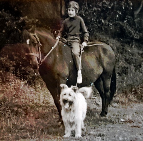 Doris mit Uli und Pferd500