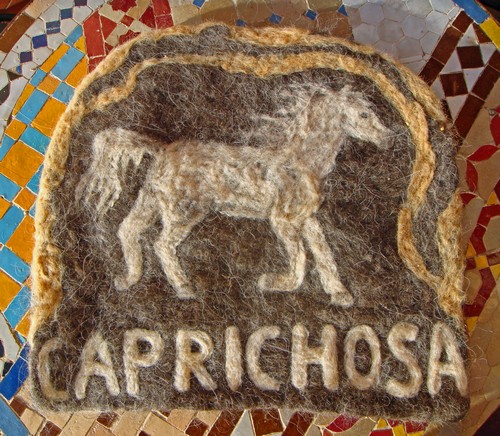 Namensschild Caprichosa500