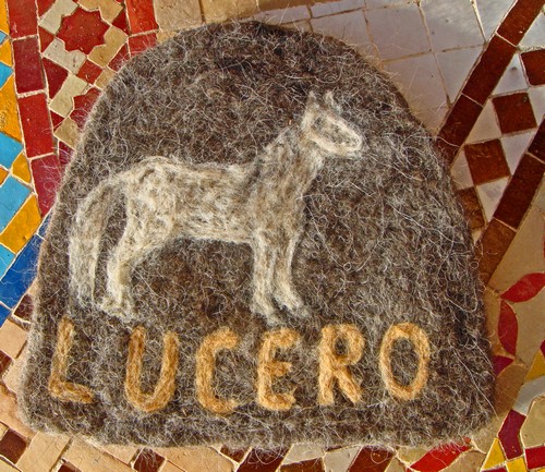 Namensschild Lucero2500