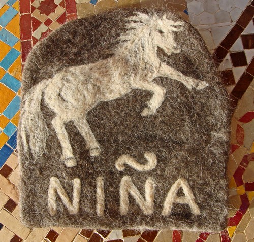 Namensschild Nina 2009500