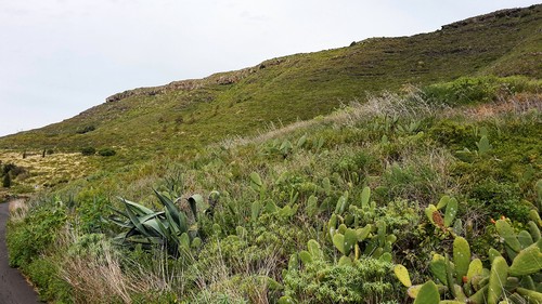 Blick hoch zur Mesa500