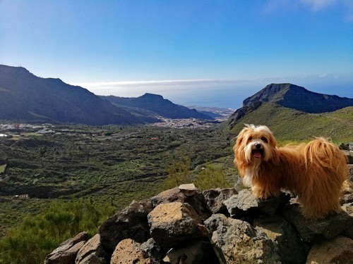 Blick ins Tal500