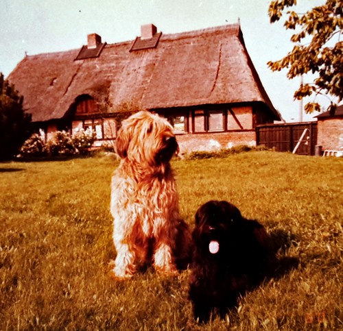 Etienne und Cadou500