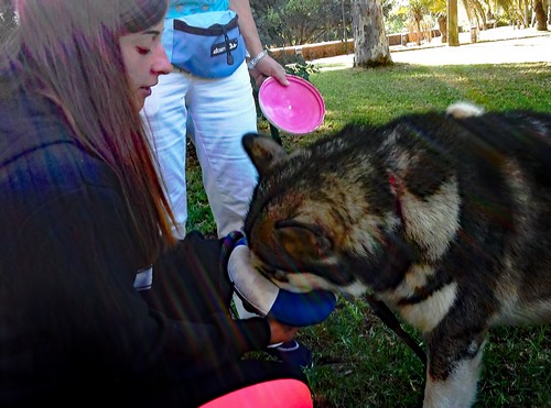 Keiko frisbee 1500