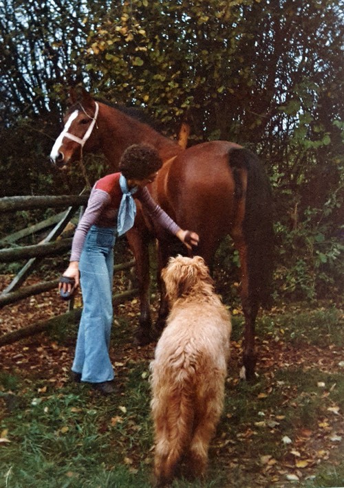 Pferd Katja mit Cadou500