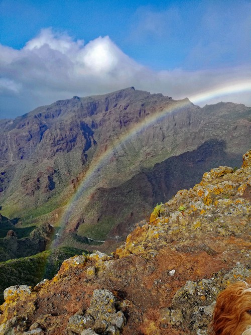 Regenbogen 2500