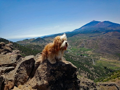 Teide Blick500