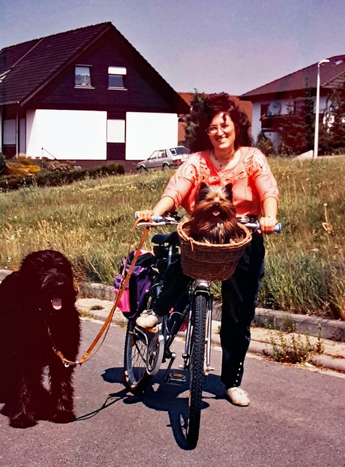 Yogi und Amadeus Fahrradtour500